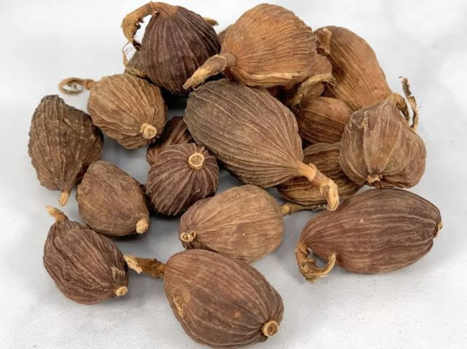 Whole large cardamom pods
